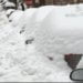 5 years in the past nowadays: Surprise hailstorm makes records in Berks [Video]