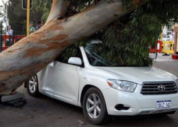 Did hail or a falling tree branch harm your vehicle? Here is what you can do
